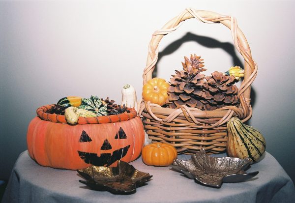 Fall Leaves, Gourds, and Pumpkins