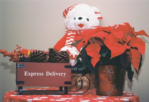 Christmas Bear, Sleigh, Poinsettia – Fine Art Print